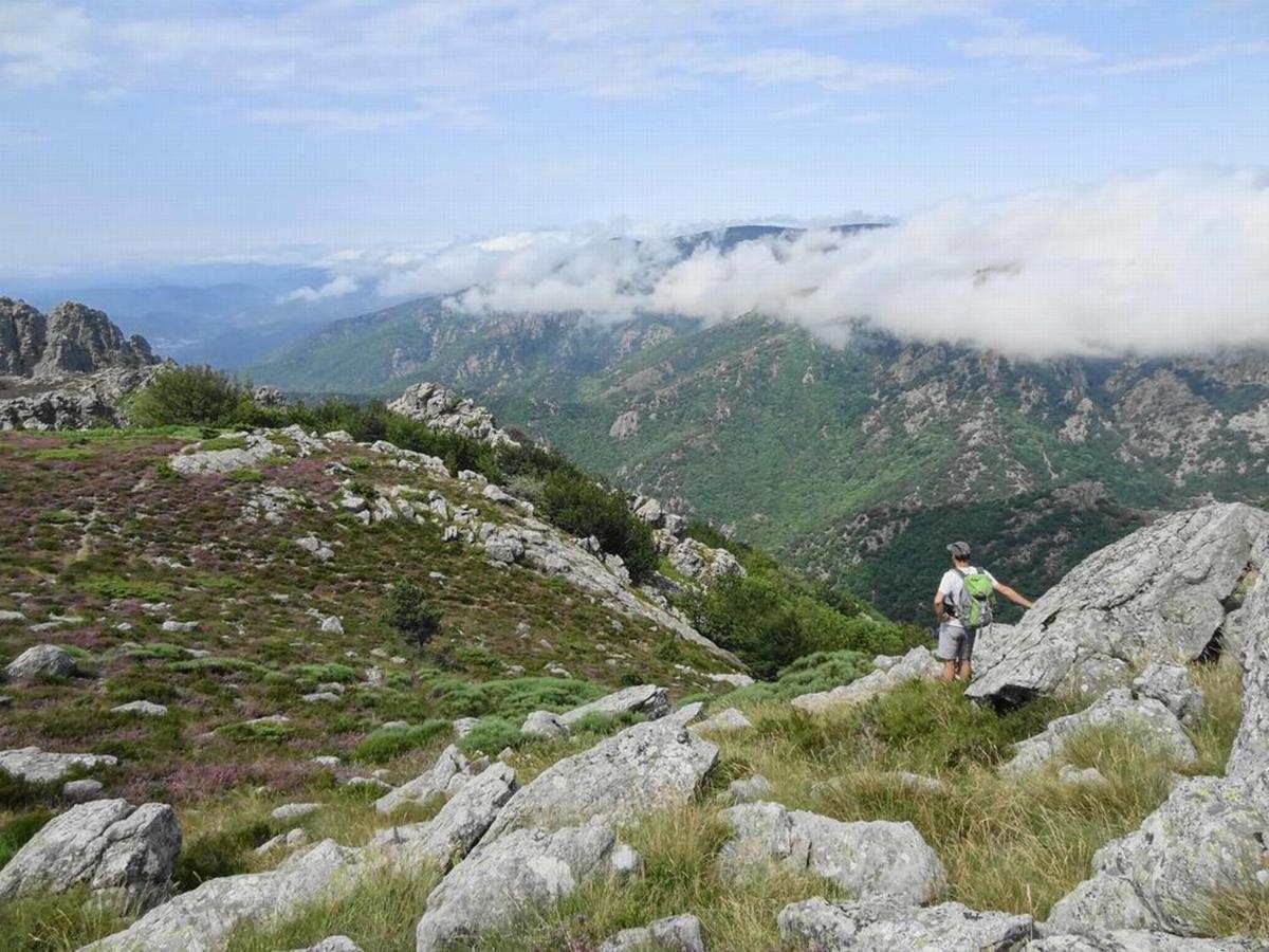 Villa Les Martinets-Piscine-Jacuzzi-Voie Verte-Gorges D'Heric-Massif Du Caroux Mons Olargues 34600 Le Poujol-sur-Orb Dış mekan fotoğraf
