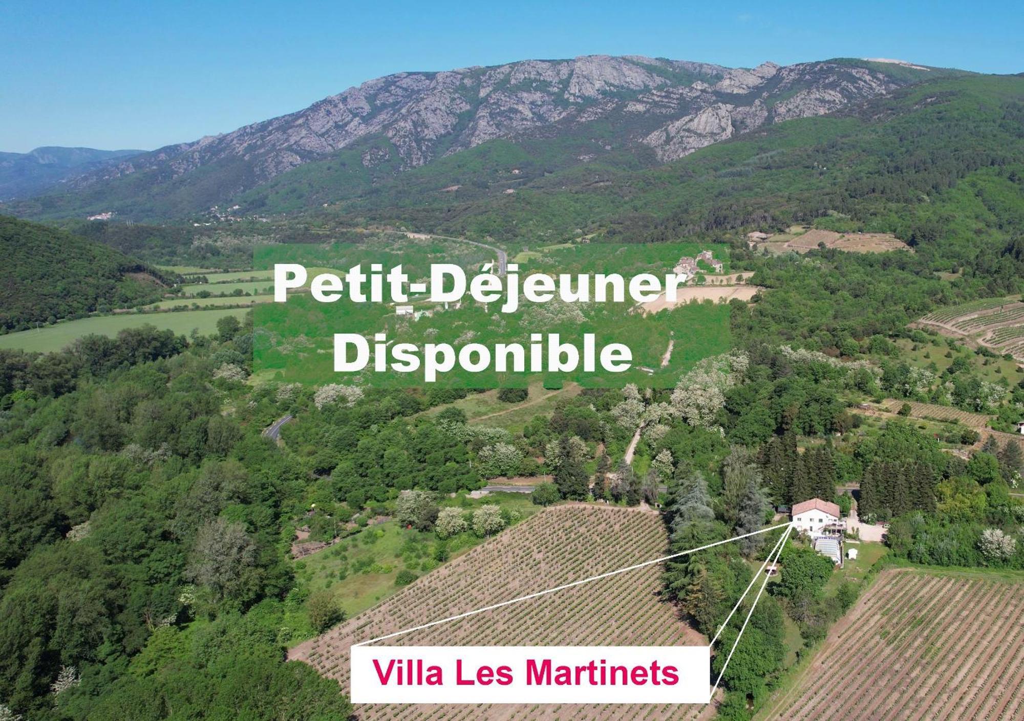 Villa Les Martinets-Piscine-Jacuzzi-Voie Verte-Gorges D'Heric-Massif Du Caroux Mons Olargues 34600 Le Poujol-sur-Orb Dış mekan fotoğraf